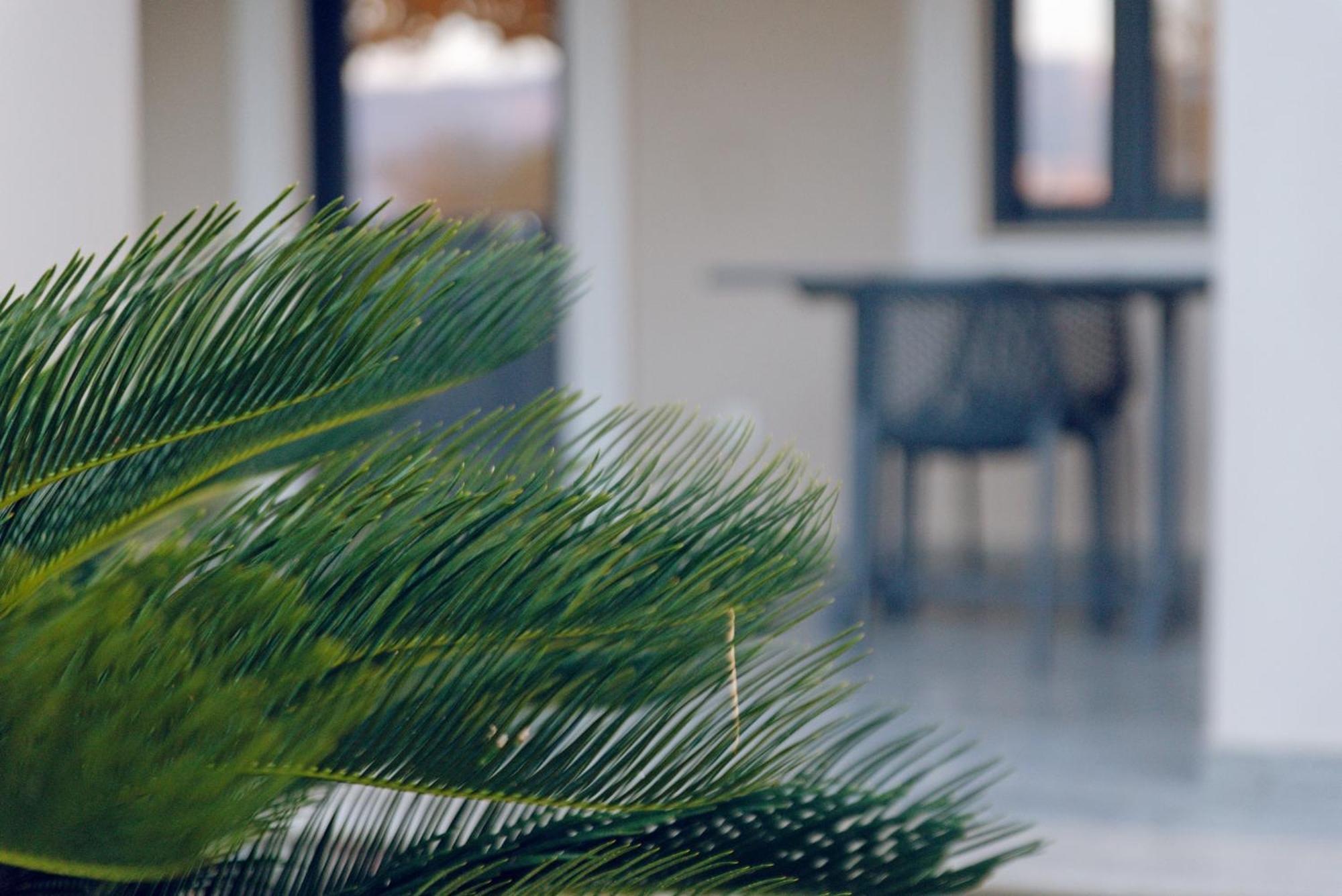 Apartment Carpe Diem Moursia